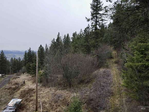 21.8 Acres of Land for Sale in White Bird, Idaho
