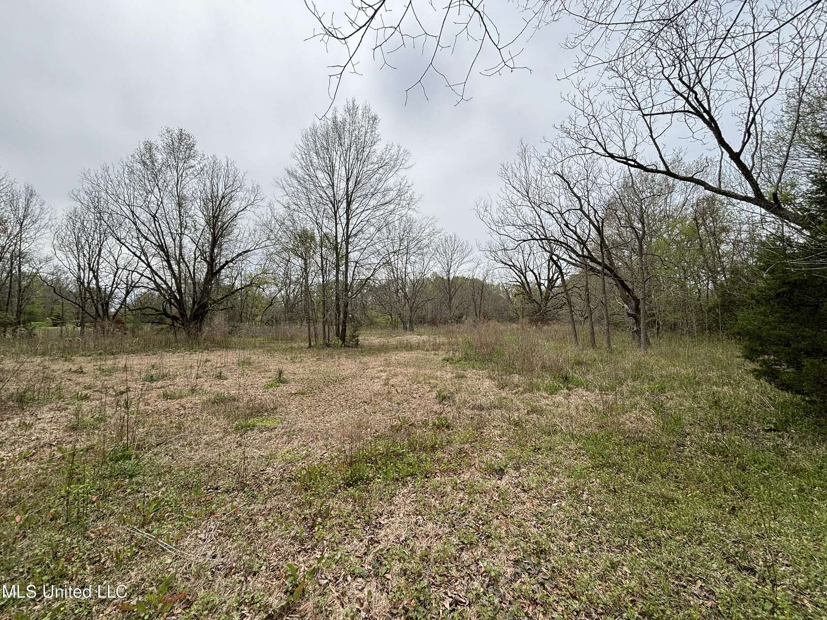 5 Acres of Residential Land for Sale in Jackson, Mississippi