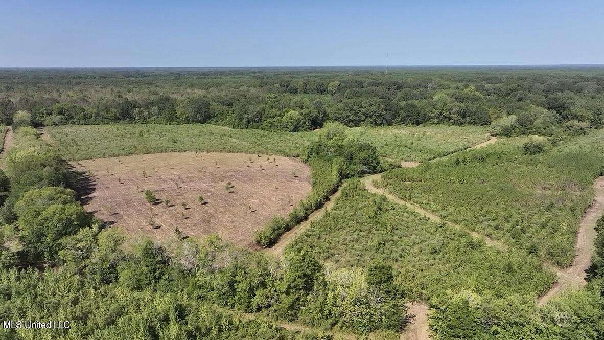 33 Acres of Land for Sale in Canton, Mississippi