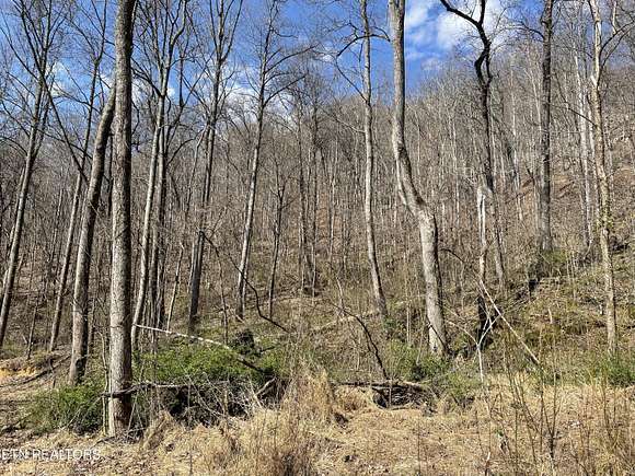 15.99 Acres of Land for Sale in Caryville, Tennessee