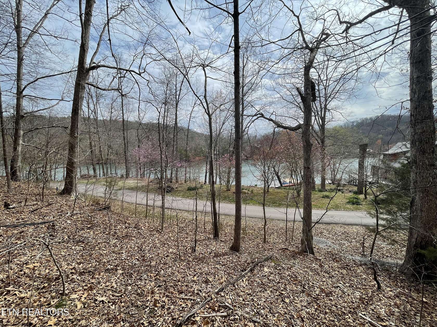 0.48 Acres of Land for Sale in Madisonville, Tennessee
