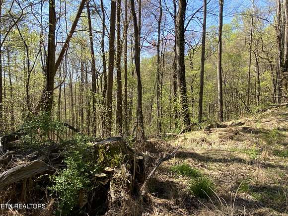 19.89 Acres of Land for Sale in Caryville, Tennessee