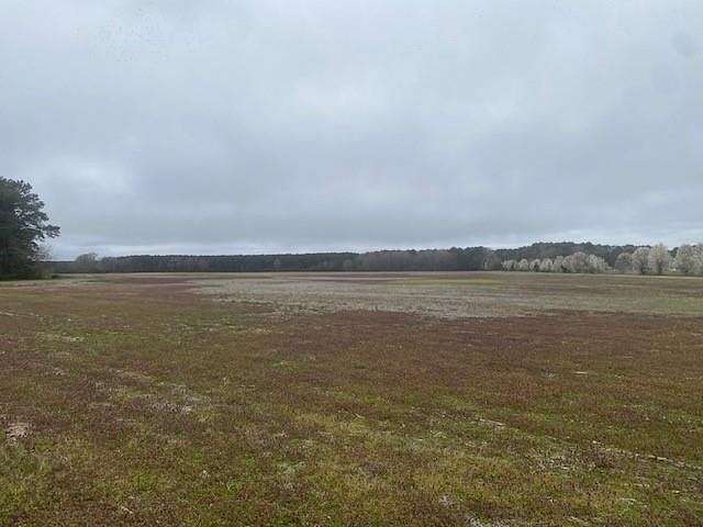 125 Acres of Land for Sale in Temperanceville, Virginia