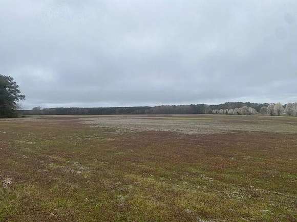 125 Acres of Land for Sale in Temperanceville, Virginia