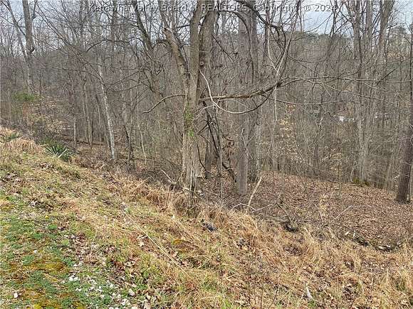 3 Acres of Land for Sale in Hurricane, West Virginia