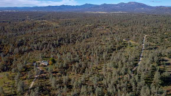 40 Acres of Land for Sale in Anderson, California