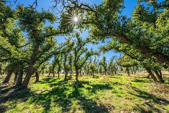 40 Acres of Land for Sale in Fredericksburg, Texas