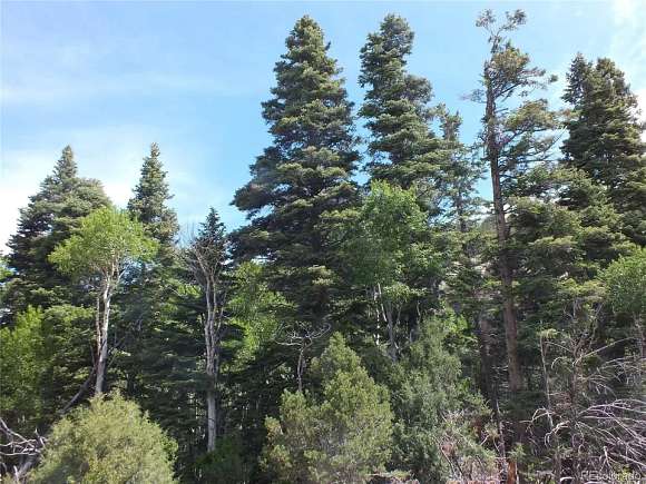11.1 Acres of Recreational Land for Sale in Mosca, Colorado
