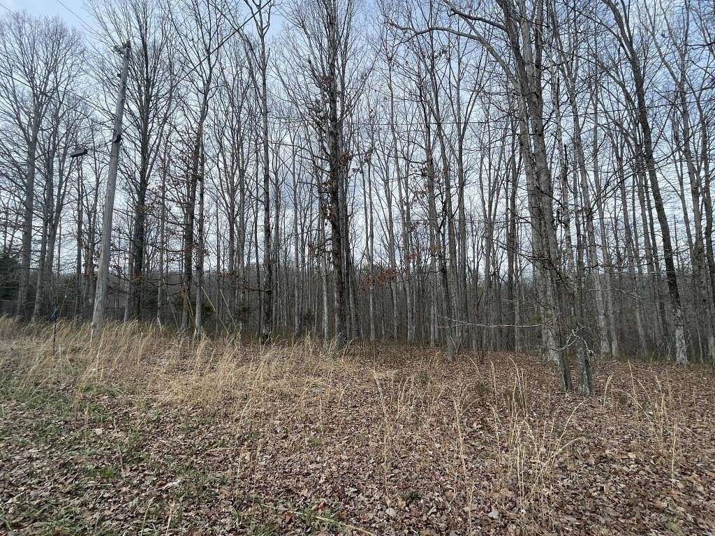 Land for Sale in Nunnelly, Tennessee
