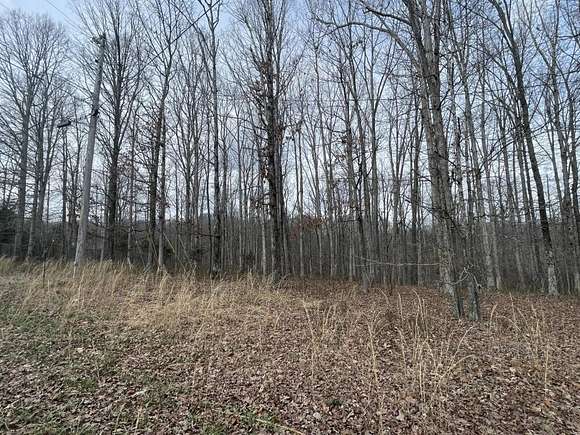 Land for Sale in Nunnelly, Tennessee