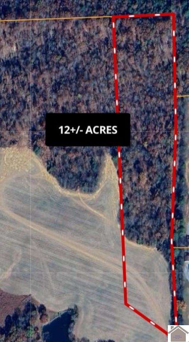 12 Acres of Recreational Land for Sale in New Concord, Kentucky