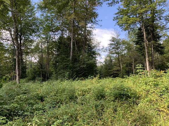 10 Acres of Recreational Land for Sale in Remsen, New York