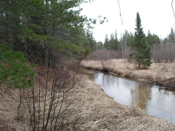 10.2 Acres of Recreational Land for Sale in Indian River, Michigan