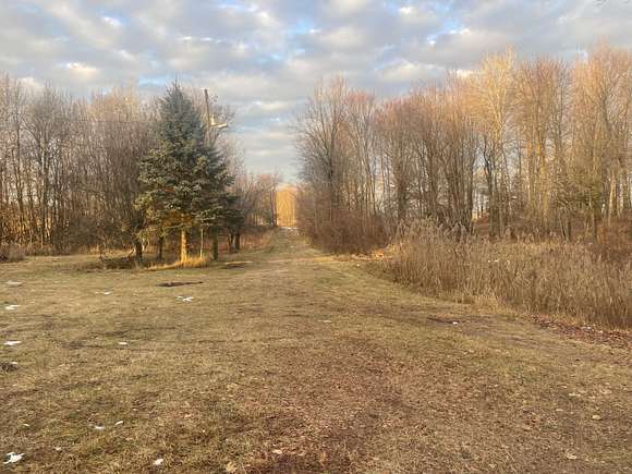12 Acres of Recreational Land for Sale in Custer, Michigan