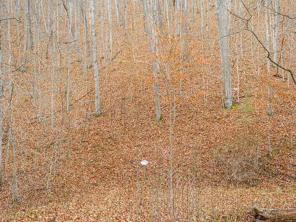 4.2 Acres of Residential Land for Sale in White Sulphur Springs, West Virginia