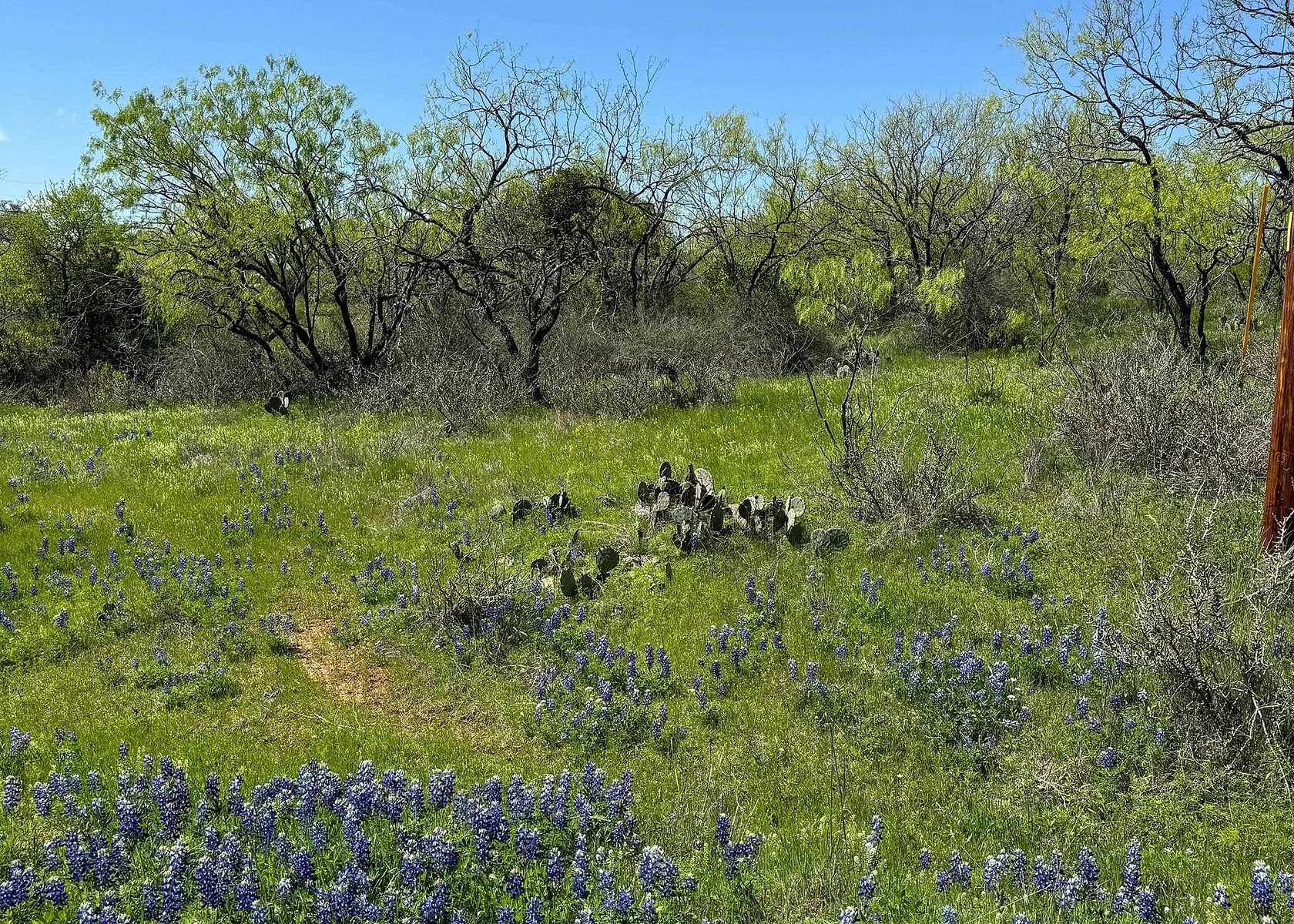 1 Acre of Land for Sale in Kingsland, Texas