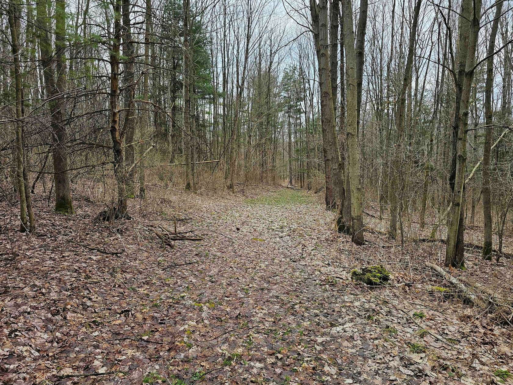 24 Acres of Recreational Land for Sale in Hector, New York