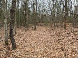 2 Acres of Residential Land for Sale in Muskegon, Michigan