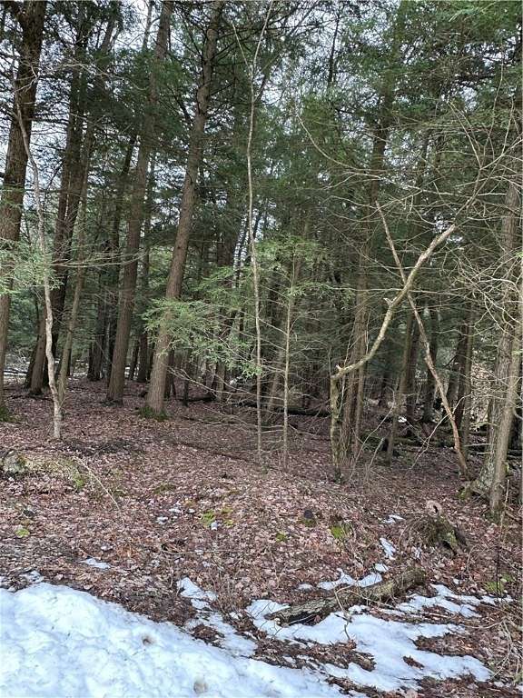 13.5 Acres of Recreational Land for Sale in Pittsfield, New York