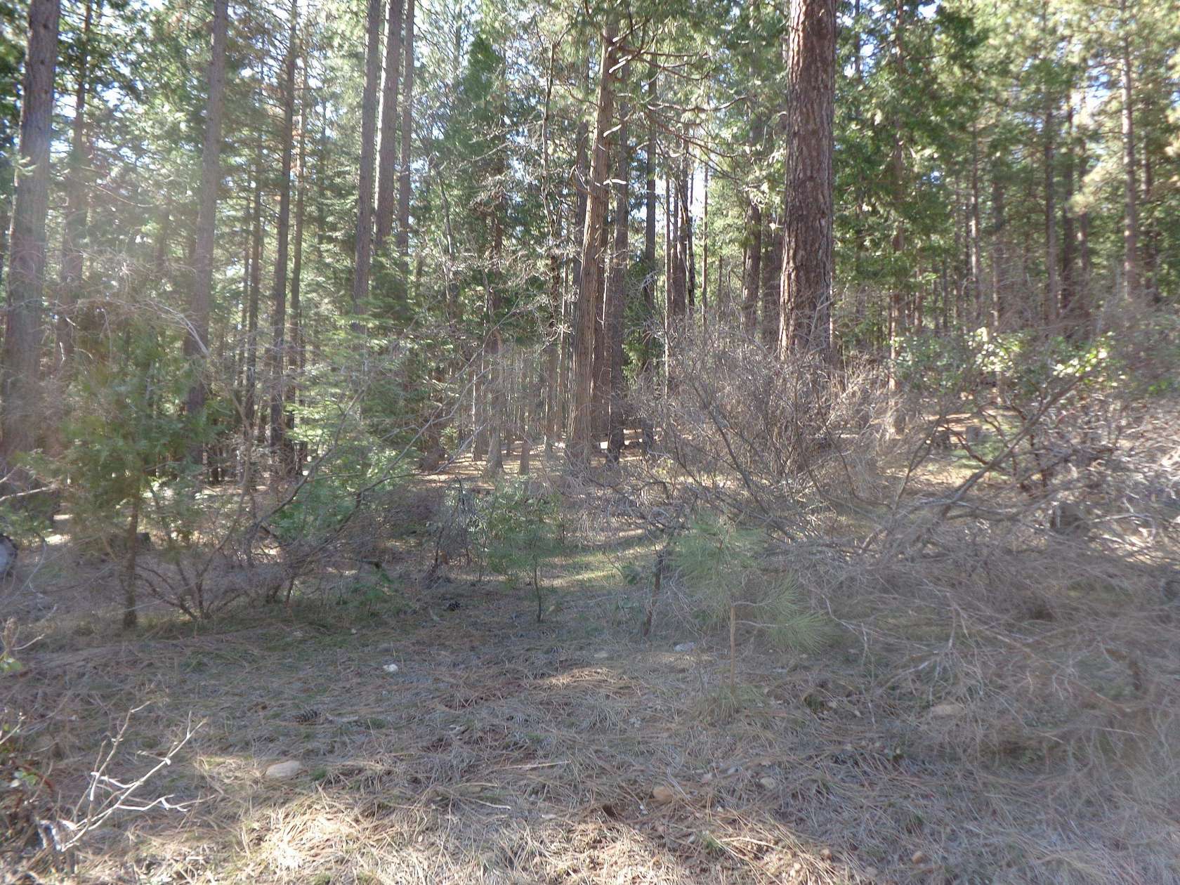 0.74 Acres of Residential Land for Sale in Quincy, California