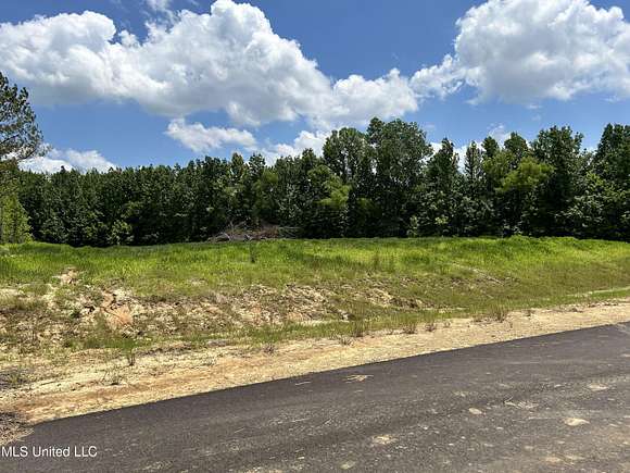 5.8 Acres of Residential Land for Sale in Lake Cormorant, Mississippi