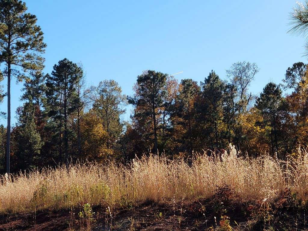 1.4 Acres of Residential Land for Sale in Milledgeville, Georgia