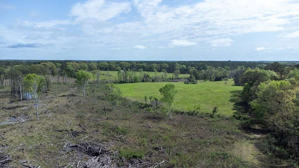 99 Acres of Land for Sale in Bogue Chitto, Mississippi