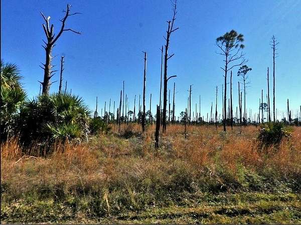 0.23 Acres of Residential Land for Sale in North Port, Florida