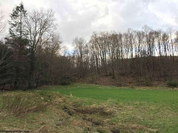 2 Acres of Residential Land for Sale in Red Creek, West Virginia