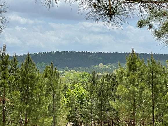 1.205 Acres of Residential Land for Sale in Broken Bow, Oklahoma