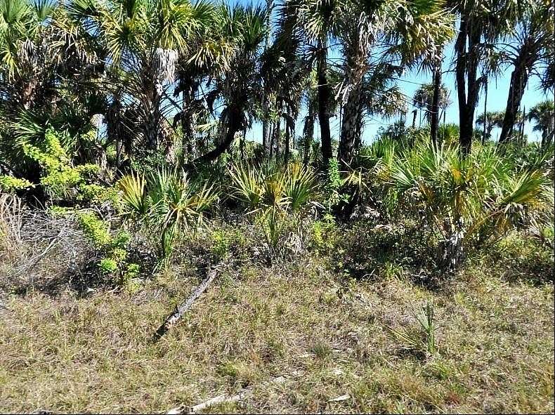 0.25 Acres of Residential Land for Sale in North Port, Florida
