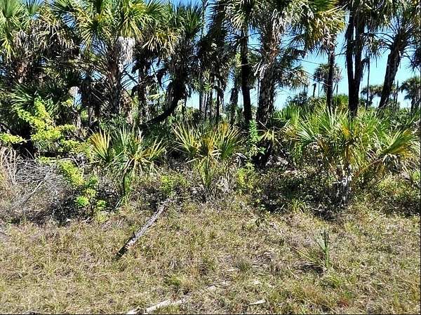 0.25 Acres of Residential Land for Sale in North Port, Florida