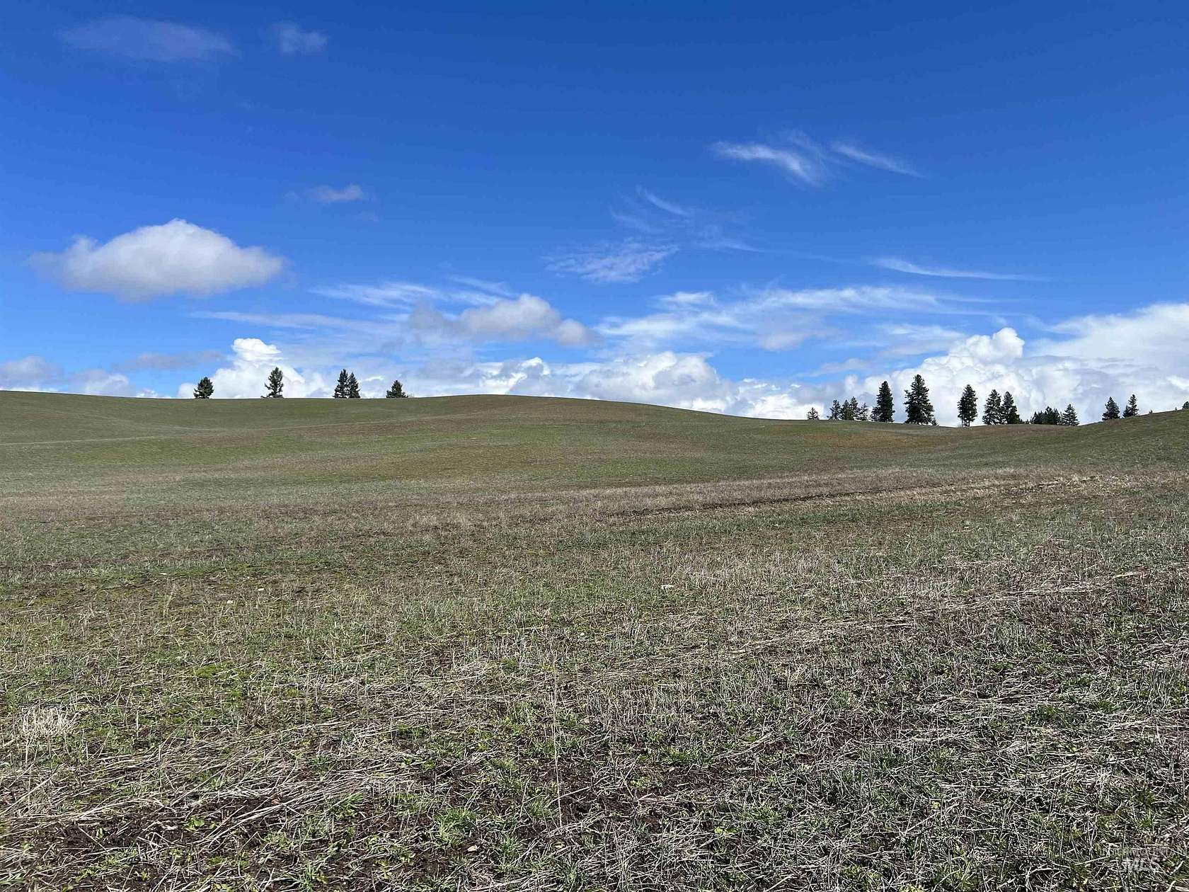 52.6 Acres of Agricultural Land for Sale in Princeton, Idaho