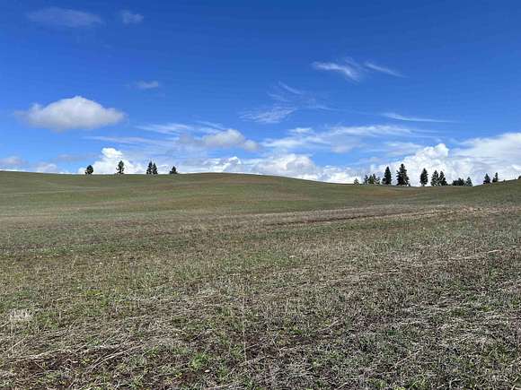 52.6 Acres of Agricultural Land for Sale in Princeton, Idaho