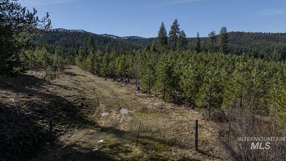 30.3 Acres of Recreational Land for Sale in Bovill, Idaho