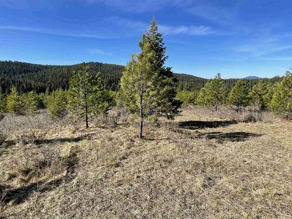 15 Acres of Recreational Land for Sale in Bovill, Idaho