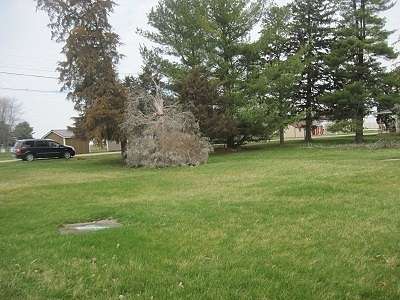 0.3 Acres of Residential Land for Sale in Cherry, Illinois