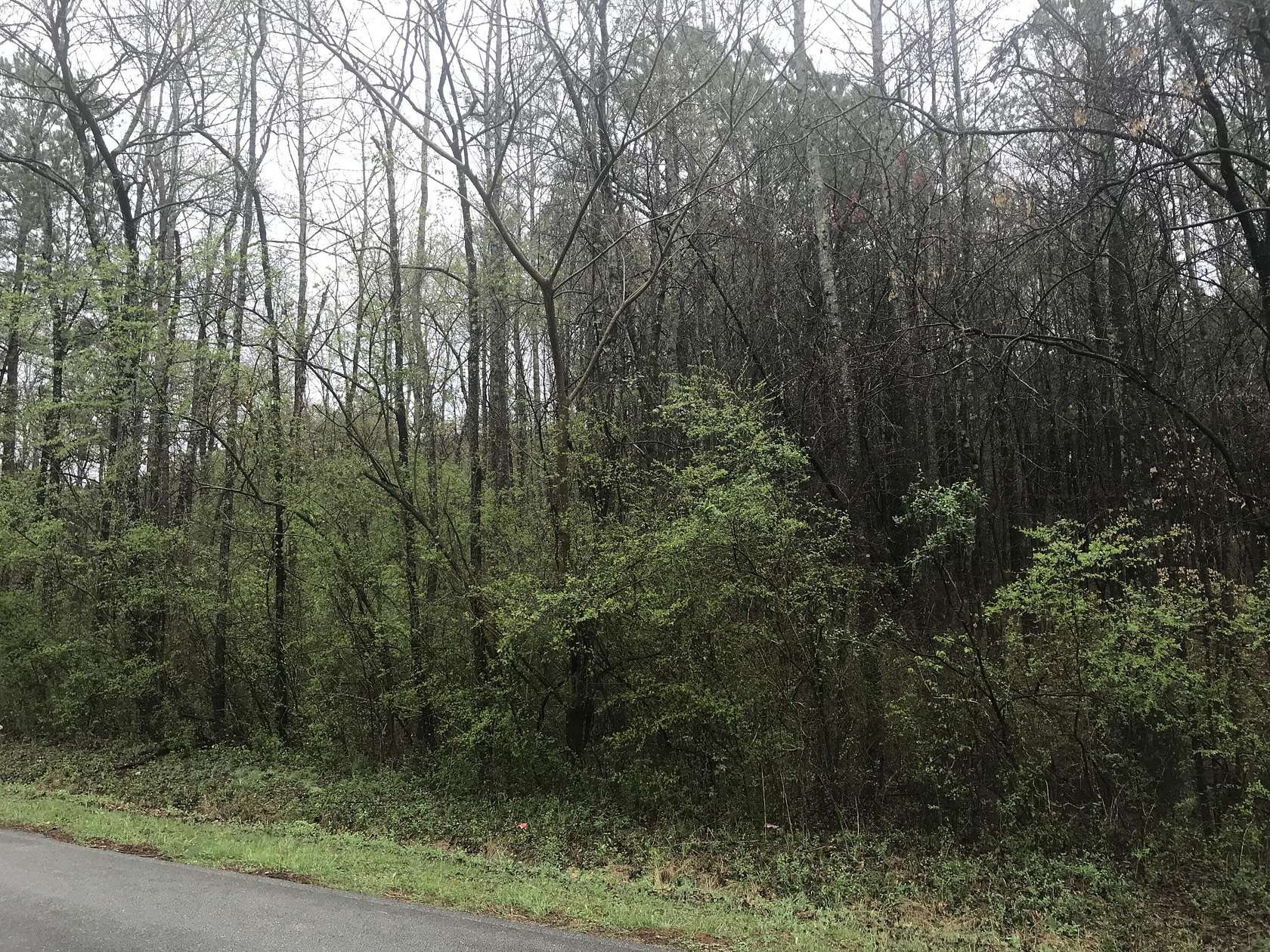 37.5 Acres of Land for Sale in LaFayette, Georgia