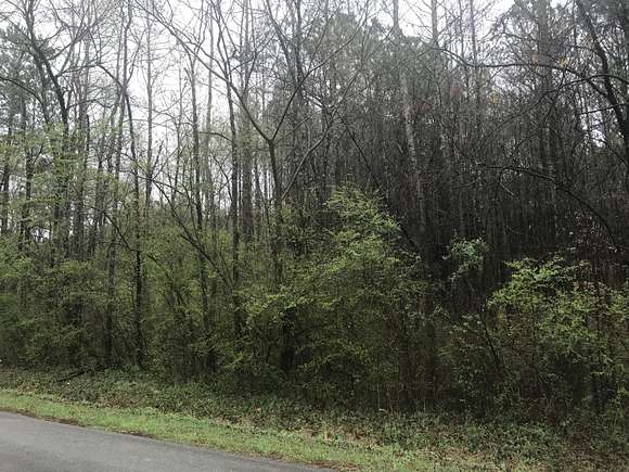 37.5 Acres of Land for Sale in LaFayette, Georgia