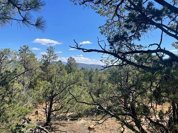 10 Acres of Land for Sale in Rowe, New Mexico