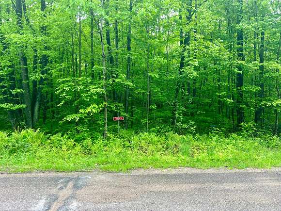 3 Acres of Land for Sale in Tomahawk, Wisconsin