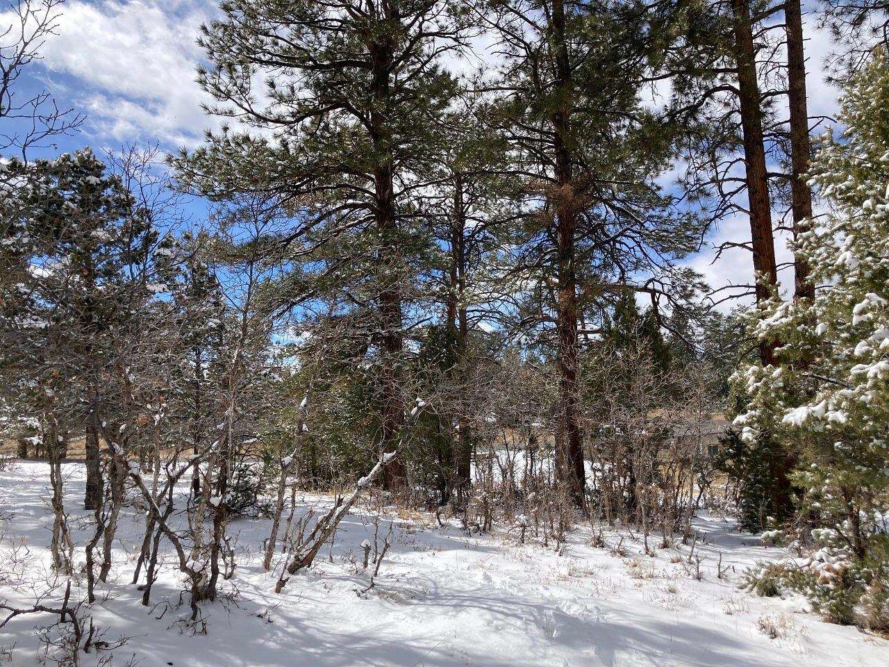0.948 Acres of Residential Land for Sale in Ridgway, Colorado