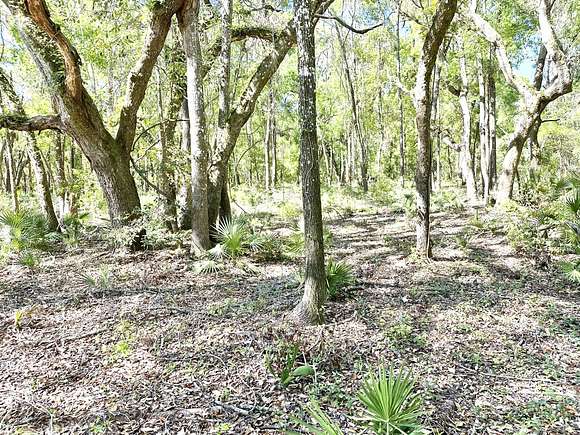 0.45 Acres of Residential Land for Sale in Mayo, Florida