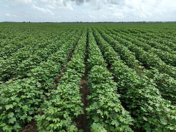 160 Acres of Agricultural Land for Sale in Clarksdale, Mississippi