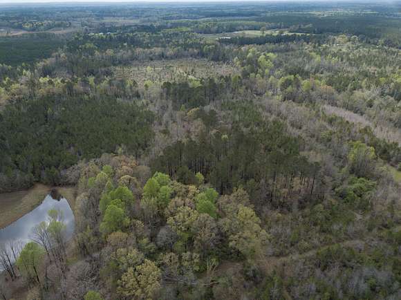 50 Acres of Recreational Land for Sale in Decatur, Mississippi - LandSearch