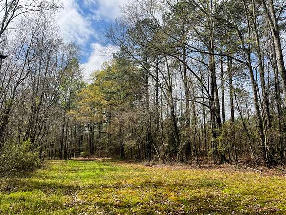 50 Acres of Recreational Land for Sale in Decatur, Mississippi - LandSearch