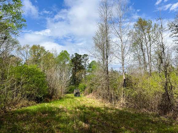 50 Acres of Recreational Land for Sale in Decatur, Mississippi - LandSearch