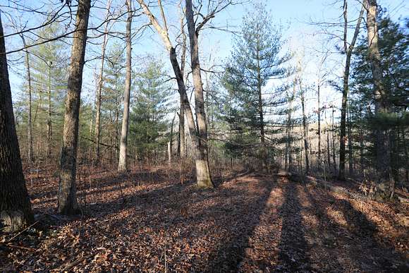 20 Acres of Recreational Land for Sale in Williamsville, Missouri