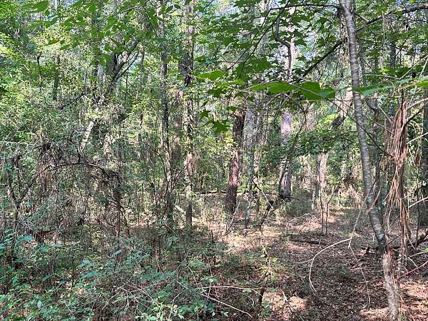 0.5 Acres of Land for Sale in Live Oak, Florida
