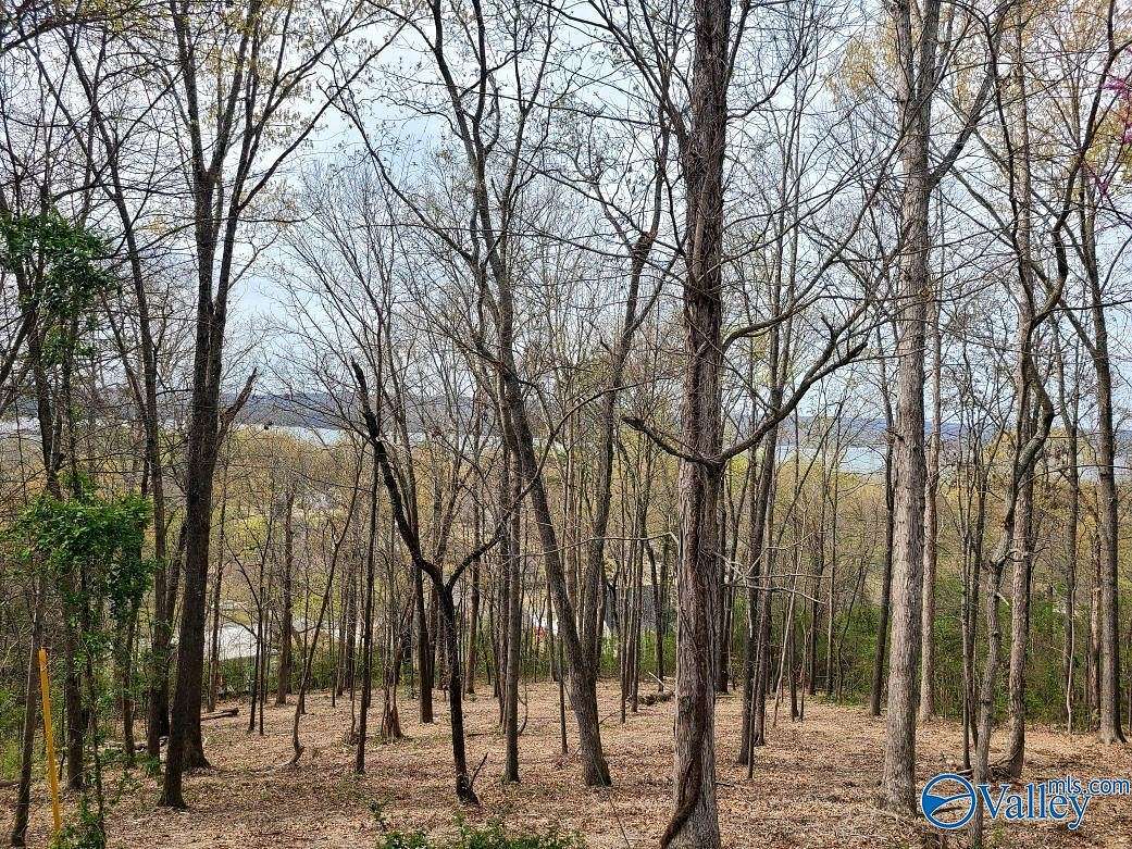 0.56 Acres of Residential Land for Sale in Guntersville, Alabama